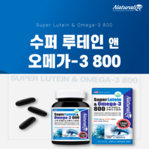 미국 오메가3 800 비타민오메가 혈행개선 영양제
