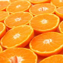 올탑농원 23년 고당도 햇하우스감귤 1.5kg 가정용, 하우스감귤 1.5kg 중대과