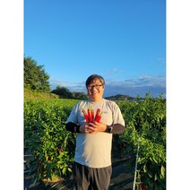 태양초 건고추 햇고추 국내산건고추 영주 봉화 600g, 꼭지제거세척건고추1근, 1개