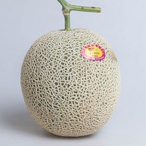 FUNET 고당도 머스크 칸탈로프 메론, 1박스, 41_메론 머스크 중대과 1통