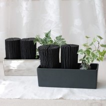 [천연가습기] 참숯과 수경식물 제습효과 가습효과 백탄 참숯, 실버, 20cm, 싱고니움