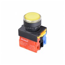 1A1B 푸쉬온 스위치 자동복귀리턴 트랜스부착형 220V DC LED 22mm NS22-BEM-L4D1A1B, 화이트 [NS22-BEM-L4DW1A1B]