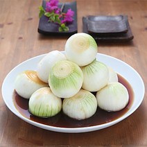 해남화원농협 이맑은김치 양파장김치 3kg 5kg 10kg, 양파장김치 5kg