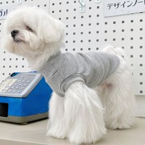 허리긴 강아지 민소매 목티 실내옷 목폴라티 이너티 나시 내복 닥스훈트 롱티 2XL까지, L, 그레이 민소매목폴라티
