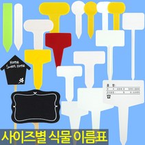화분 이름표 - 식물 라벨 푯말 사각 원형 칠판 이름표 꽂이 칼라 컬러 분갈이 네임텍 T자 일자, 15_이름표_타원형2호(흰색/100개)