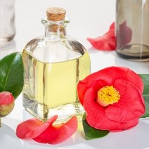 동백유 100ml 케리어 오일