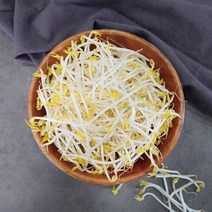 천연암반수로 키운 숙주나물 4kg, 단품