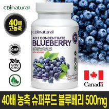 캐나다 슈퍼푸드 40배 고농축 블루베리 500mg 120캡슐 캐나다 GMP NPN인증 캐나다직발송