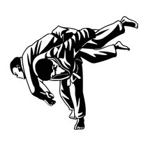 우레탄비닐 방풍 대형 두꺼운 천막 PVC YJZT 무술 MMA 싸움 주짓수 스포츠 장식 데칼 비닐 자동차 블랙 실버 x