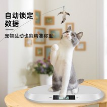 반려동물체중계 강아지 저울 고양이 동물병원 몸무게, 상세 페이지 참고, A