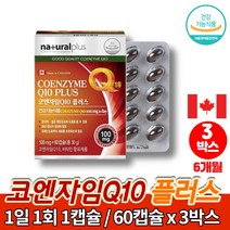 캐나다 코엔자임 q10 큐10 코큐 플러스 코쿠텐 코큐텐 맥스 유비퀴논 COENZYME 어른 시니어 어르신 할머니 할아버지 영양제, 3박스