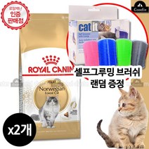 로얄캐닌 켓 노르웨이 숲 고양이사료 10Kg*2개+셀프그루밍브러쉬, 2000g, 단품