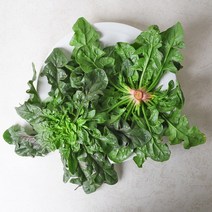 [산지직송] 이영석님의 신안 비금도 섬초시금치 2kg, 없음, 상세설명 참조