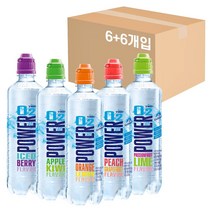 파워오투 4종 500ml 12개, 아이스베리