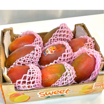 최상위 1% mango 애플망고 선물용 가정용 무지개망고 마하차녹 골드 4kg 스틴 건 2kg 태국, 애플망고 2kg