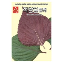 적쌈잎들깨씨앗 10g 잎들깨 깻잎 들깨잎 씨앗