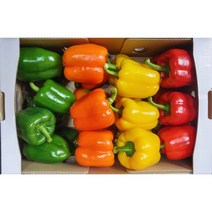 오색팜 사계절 싱싱한 제철 파프리카 2kg 3kg 5kg, 선택4(빨강+노랑+주황+초록)