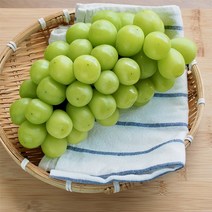 [대구경북능금농협] 영천 샤인머스켓 1.5kg 3수, 3개