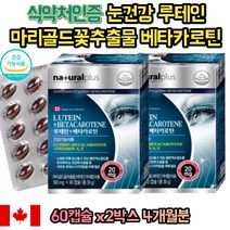 캐나다 루테인 비타민A 블루베리 빌베리 추출물 비타민 미네랄 보충 베타카로틴 LUTEIN 눈건강 영양제