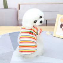 강아지옷 고양이옷 데일리 티셔츠 외출복 애견옷 실내복, [1-1] 솜사탕 티