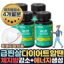 효과좋은 단기간 다이어트 필요할때 피하지방 내장지방 살빠지는 체지방분해 도움 식약처인증 녹차추출물 카테킨 보조제 약 1달치 살빼는 허벅지살 얼굴살 팔뚝살 허리 빼는법 줄이는법 도움, 4개월분