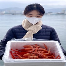 [품질보장] 홍게 박달대게 여니수산 연지 자숙 제철 속초홍게 2kg 3kg, 실속형 홍게