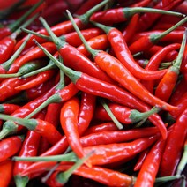 국내산 싱싱한 홍고추 특품 소량 기획전 500g [노블프레쉬], 홍고추 500g