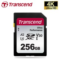 트랜센드 SONY 소니 HXR-NX100 캠코더전용 256G SD메모리카드 Class10 4K촬영지원, 256GB