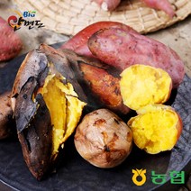 안면도농협 선별 한입 호박고구마 5kg/10kg(40~60g), 10kg(40~60g)