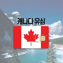 캐나다유심칩 싸게파는 상점에서 인기 상품의 판매량과 가성비 분석