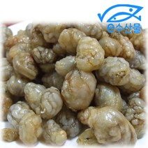 e수산물 마산 진동 냉동 오만둥이 1kg 미더덕사촌 오만디 맛있는 해물요리 해물찜 재료 오만둥이, 1개