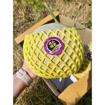 멜론 머스크멜론 MELLON 메론 2과(4KG) 3과(6KG) 특등급, 멜론 2과(4KG)