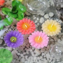 꼬모가든 데이지 플로팅 캔들 1P (납작형) 수반 어항 연못 장식 물의 정원 인테리어 소품, 분홍(무향)