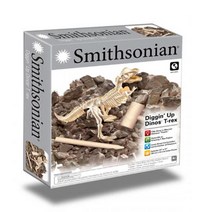 초등생 티라노 공룡뼈 화석 발굴 장난감 공부 수업 실험 과학 학교 학생