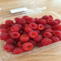 (다달다유통)2023년 햇 산지직송 산딸기 500g 1kg 당일수확 당일발송 고당도 김해 상동 청도 생림 급 냉동 제철과일, 냉동 산딸기 1kg(500*2)