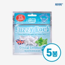 퍼지락 자일리톨 무설탕 캔디 40g, 쿨민트 5봉