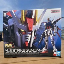 1300K 완성품 RG 144sc 에일 스트라이크 건담 AILE STRIKE, 단품
