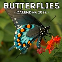 (영문도서) Butterflies Calendar 2022: 16-Month Calendar Cute Gift Idea For Butterfly Lovers Women & Men Paperback, Independently Published, English, 9798541255690
