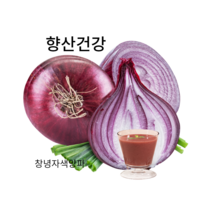 우포누리 자색양파즙, 100포, 110ml, 110