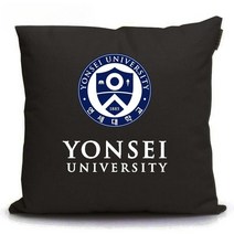 연세대 로고 엠블럼 쿠션 등쿠션 소파 베게 대학교 학원 학생 선물 판촉물 기념품 사은품, 40cm, 패턴 5
