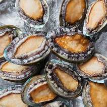 국내산 완도 활 참전복 1kg (17-19미)