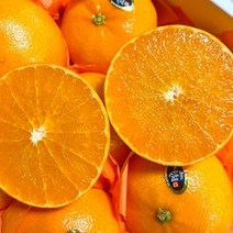 [노말테이블]제주도 천혜향 못난이 가정용 선물용 선물세트, 선물용 3kg(보자기포장), 1개