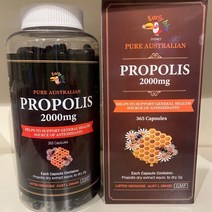 Early bird 얼리버드 프로폴리스 2000mg 365정, 1개, 365