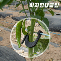고추집게 포도 농사용끈 유인줄 클립 줄기고정100개, 고추클립100개