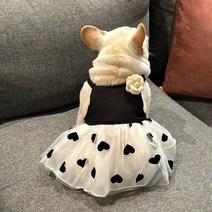 강아지 비옷 우산 대형견 우비 다이소 애견 애완동물옷개고양이 서스펜더 드레스 프렌치 코기 테디 비숑 서머 캐주얼 코튼 블랙, [01] 블랙 서스펜더 드레스, [01] S: 가슴둘레 40cm, 등길이 27cm