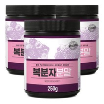 케이웰니스 국내산 복분자가루 250g x 3, 단품, 단품