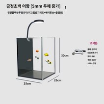 어항 가정용 거실 사무실 인테리어 작은어항 어항세트 수초어항세트 수초세트, M