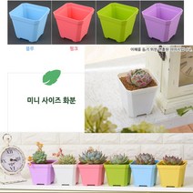 미니 사각 플라스틱 화분 소형 인테리어 다육이 포트, 색상/사이즈, 대 - 블루