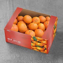 제주 레드향, 1개, 실속 11kg