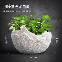 특이한 꽃꽂이 화분 화기 꽃병 화병 녹색식물 도자기 세라믹, 네추럴 수경 화분